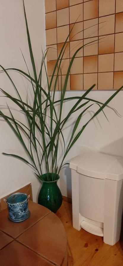 Makfa Vendeghaz Hotel Vasvar Bagian luar foto